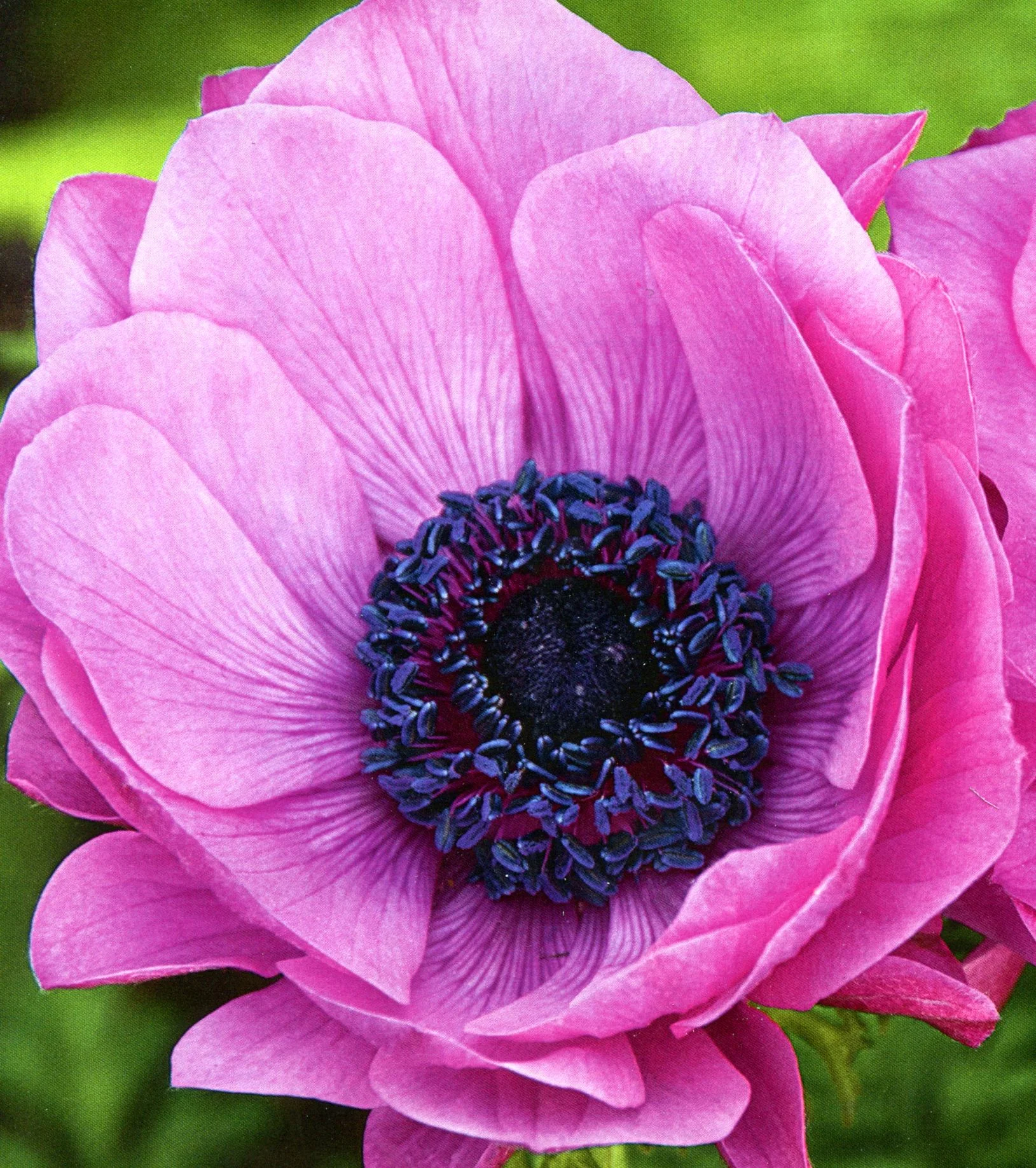 AUTO ESAMI - 005.jpg