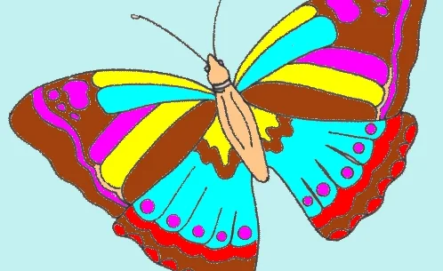 butterfly.jpg