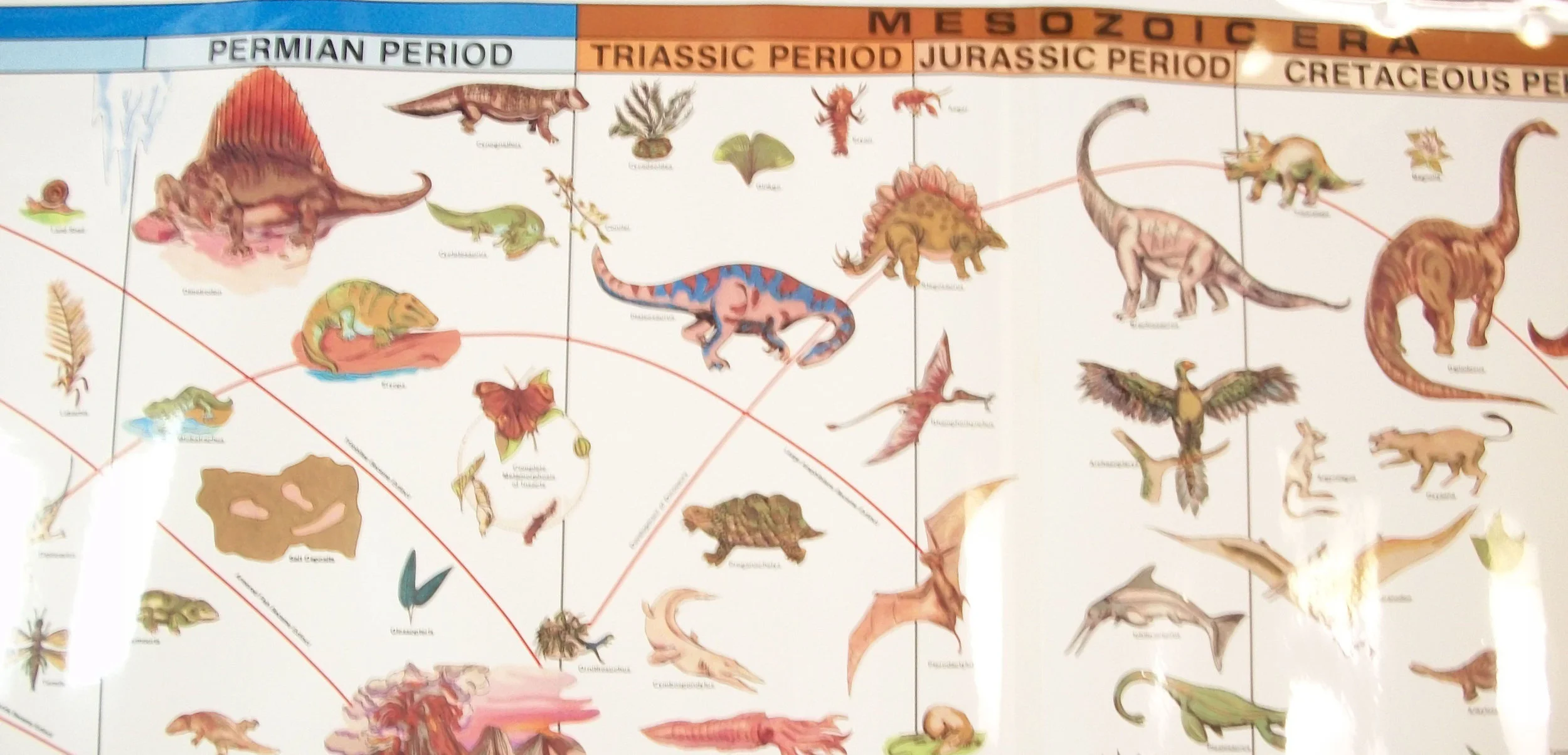 Time Line of Life.jpg