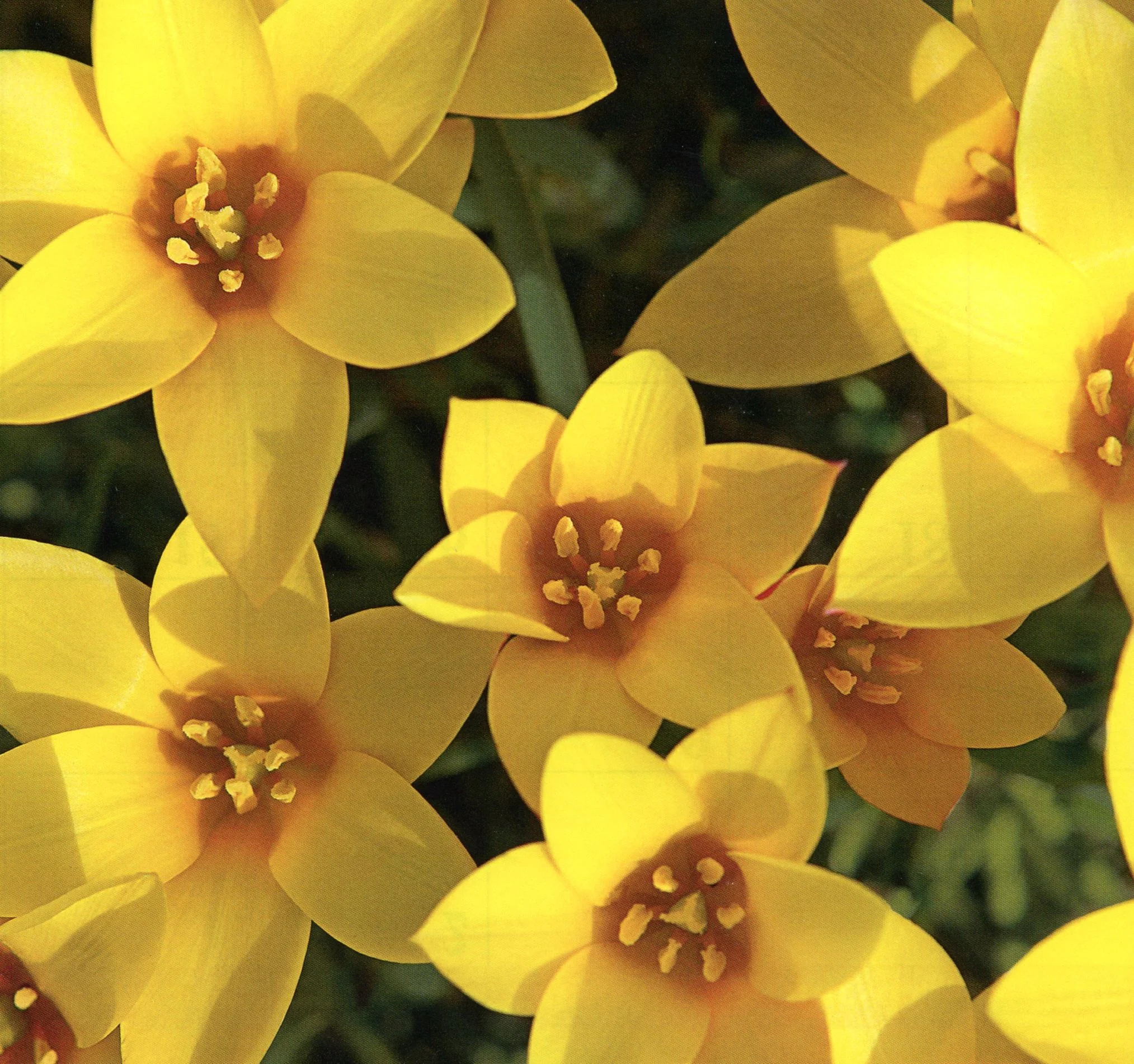 Articoli - Materna - 023.jpg