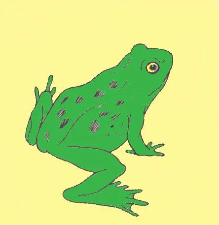 Parts of a Frog.jpg