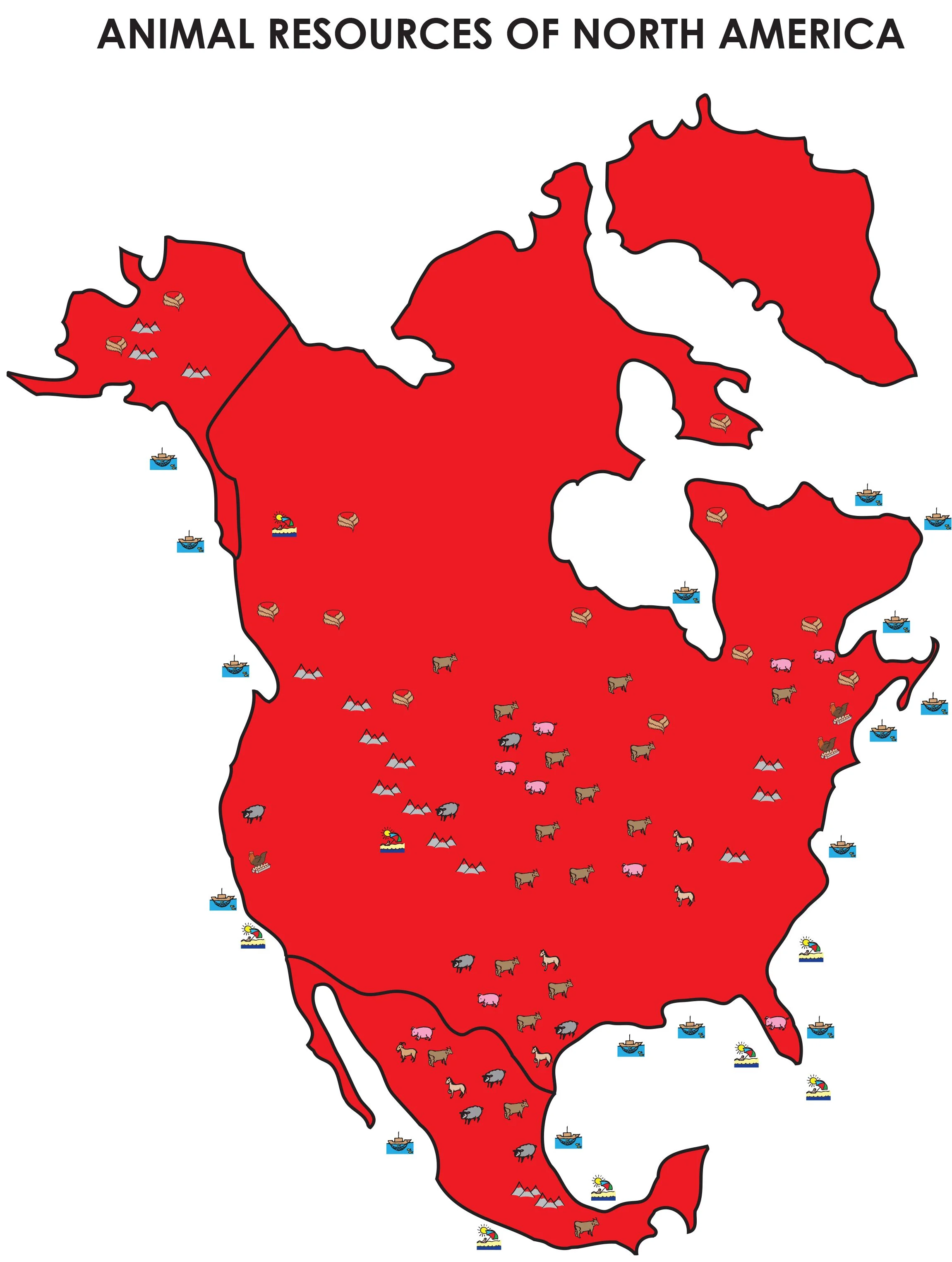 North America - Animal.jpg