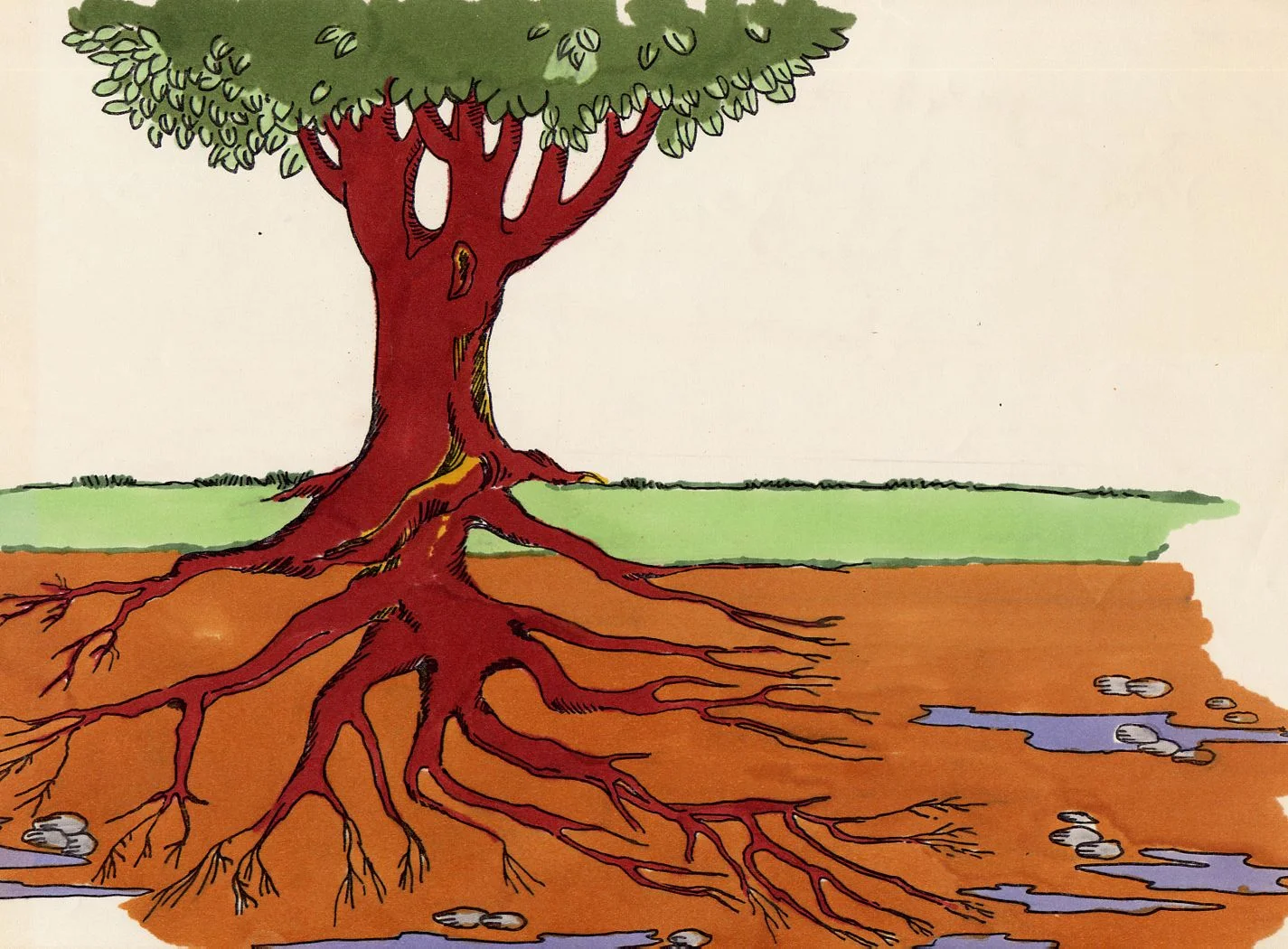 The Water Seekers.jpg