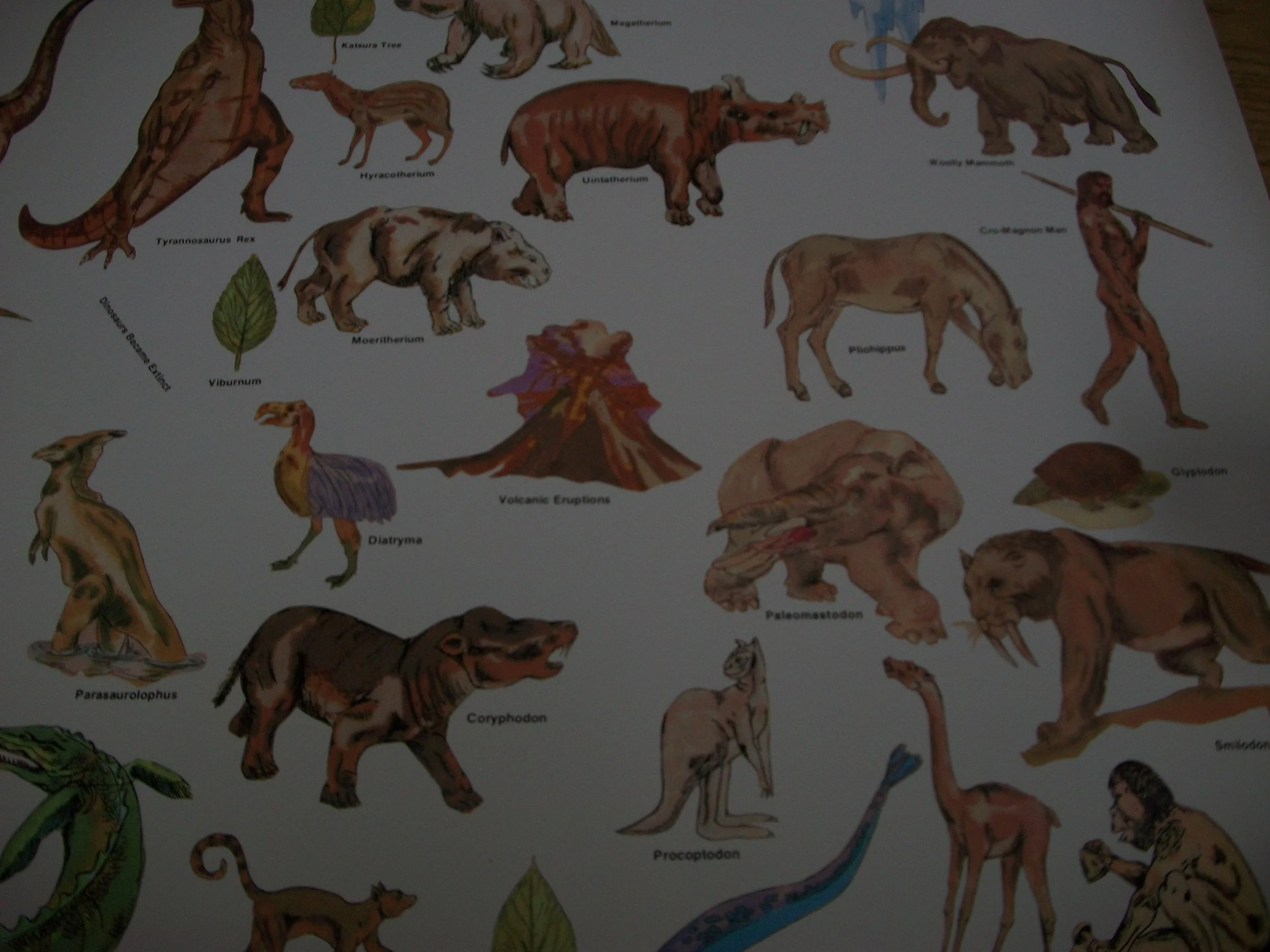 Pleistocene Epoch.JPG