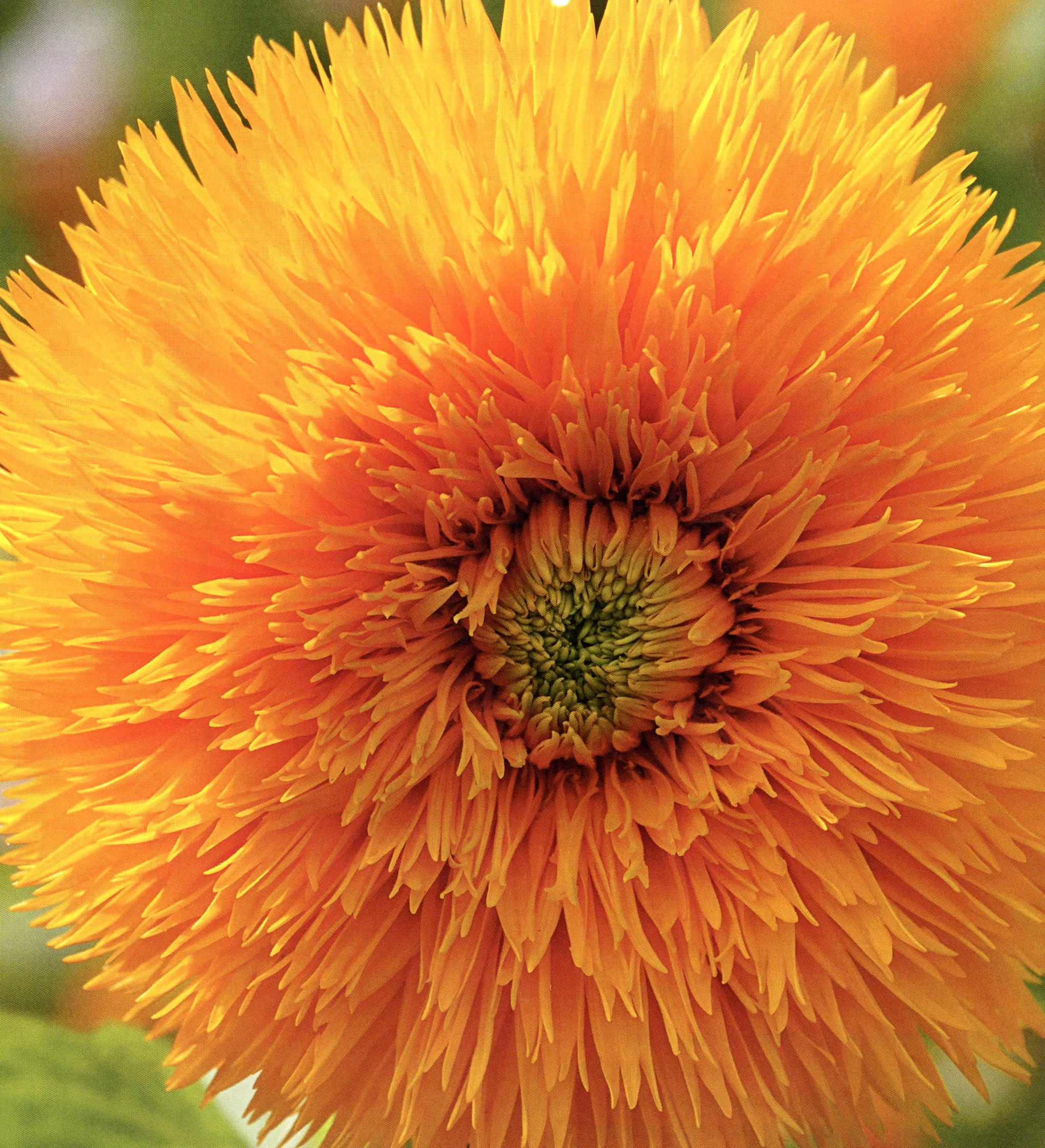 UNASSIGNED - 021.jpg