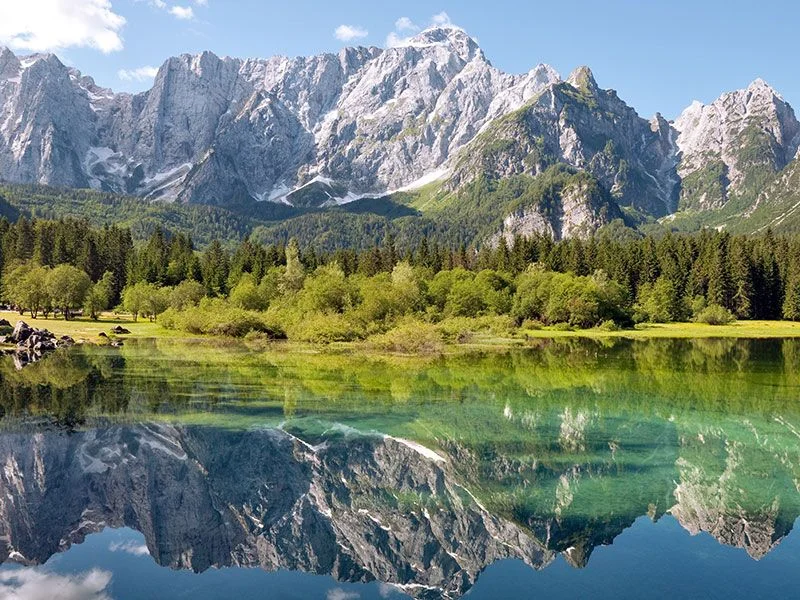 7 - Regione Friuli-Venezia Giulia.jpg