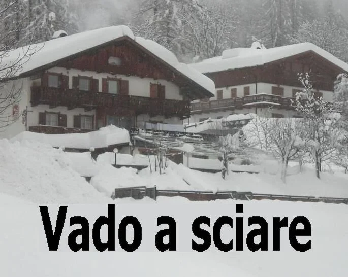 Vado a sciare.jpg
