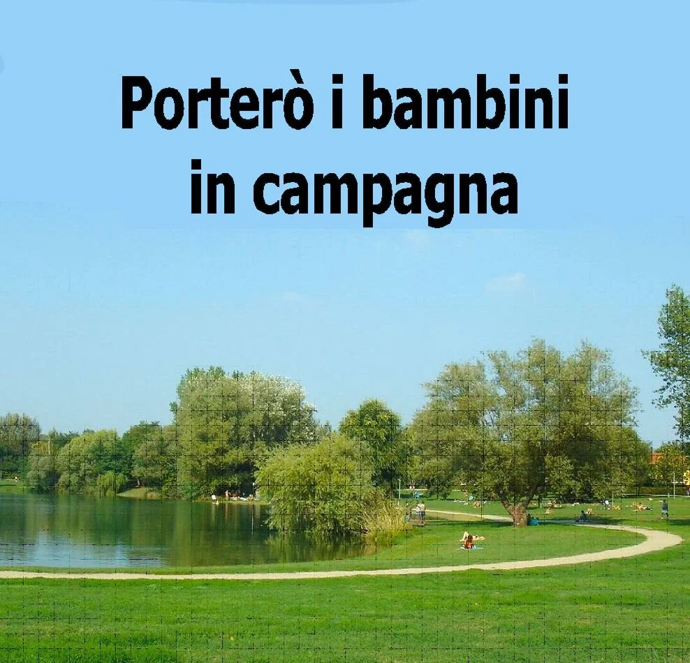 29 - Progetti per la domenica.jpg
