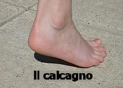 il calcagno.jpg