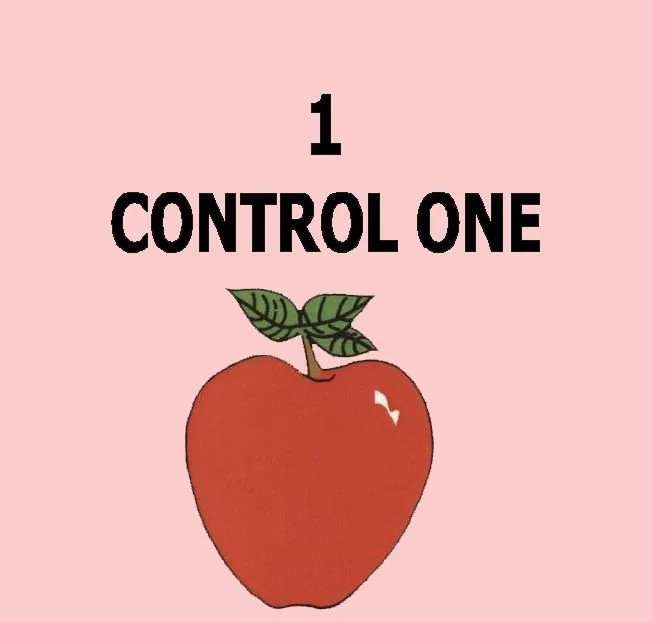 1 - LESSON ONE - CONTROL.jpg