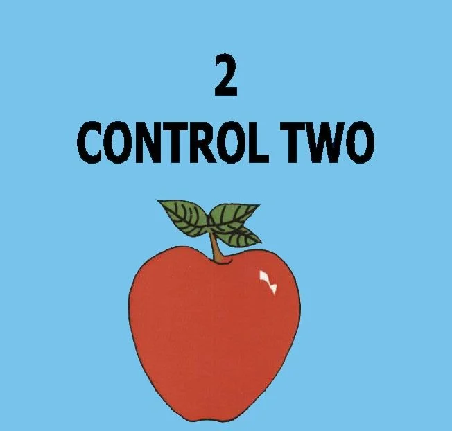 2 - LESSON TWO - CONTROL.jpg