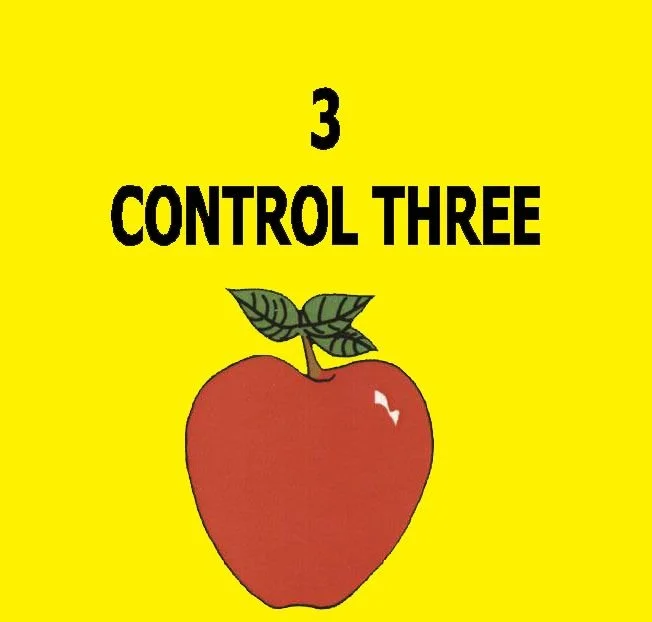 3 - LESSON THREE - CONTROL.jpg