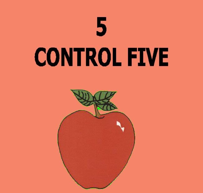 5 - LESSON FIVE - CONTROL.jpg