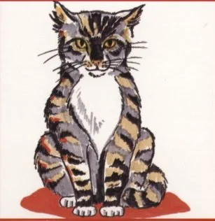 cat-04.jpg