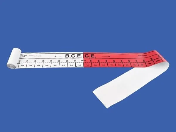 BCE-CE History Time Line Ribbon.jpg