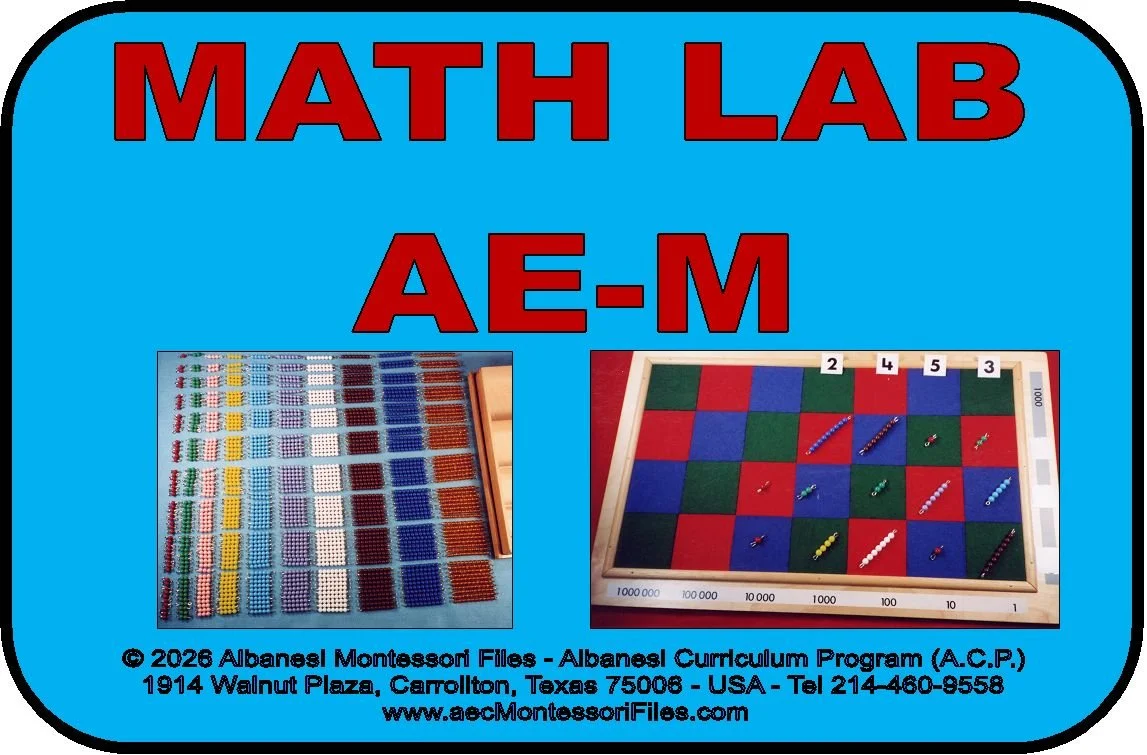 AE-M Title Card 2026.jpg