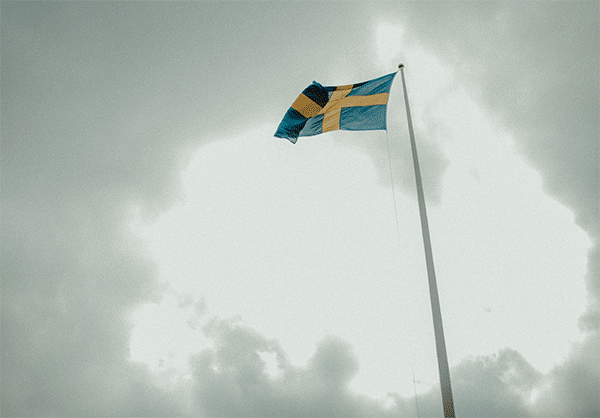 _DSC1874.gif