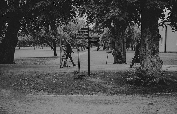 _DSC2488.gif