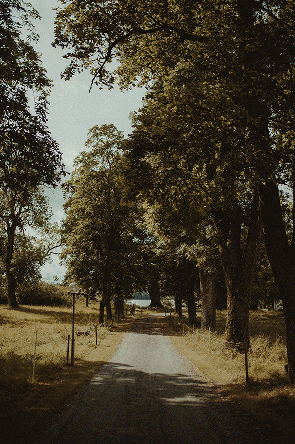 _DSC2517.gif