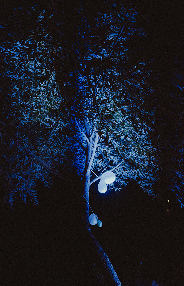_DSC4403.gif