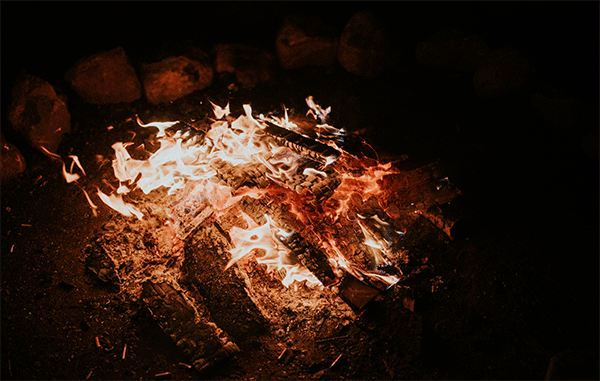 _DSC9389.gif