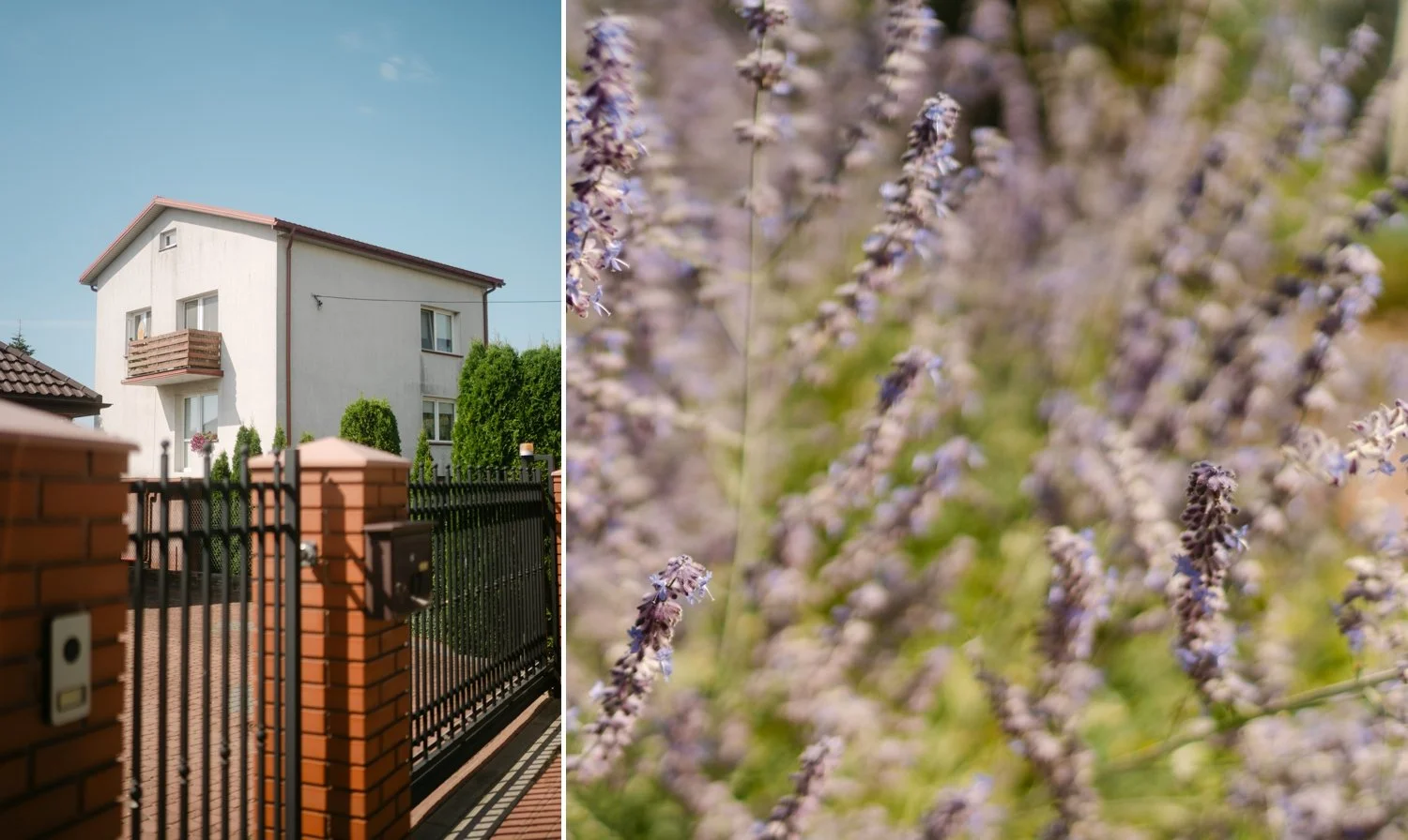 Kamila i Damian  11.jpg