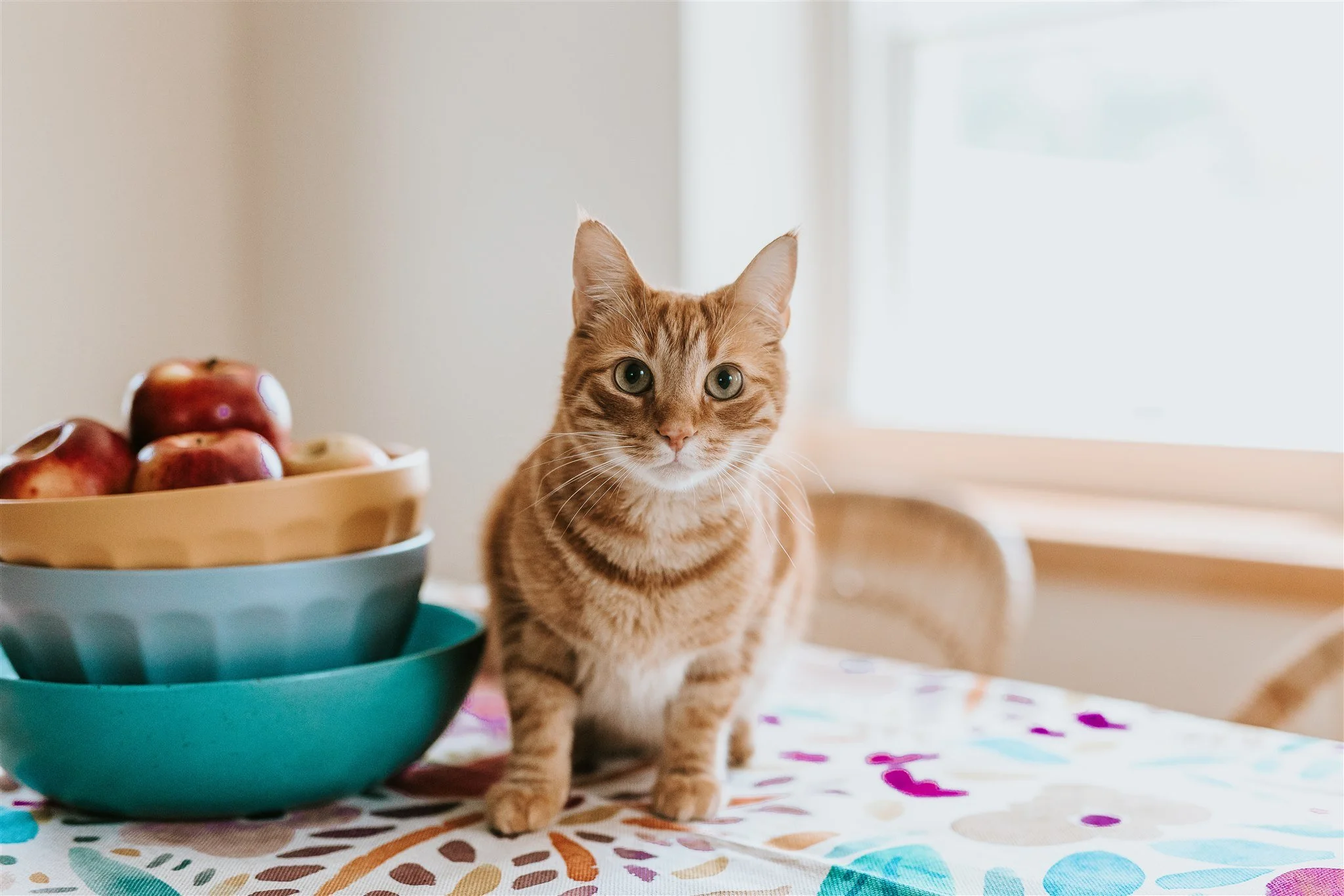 image (43 of 50).jpg