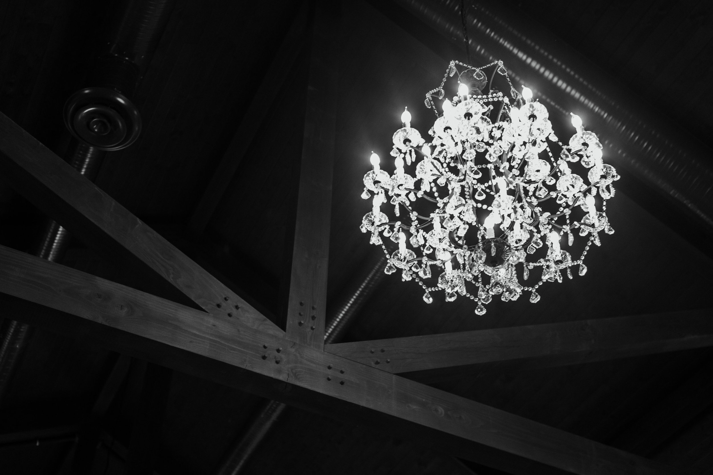 BarnatBayHorseGrandOpening(Final)-39.jpg