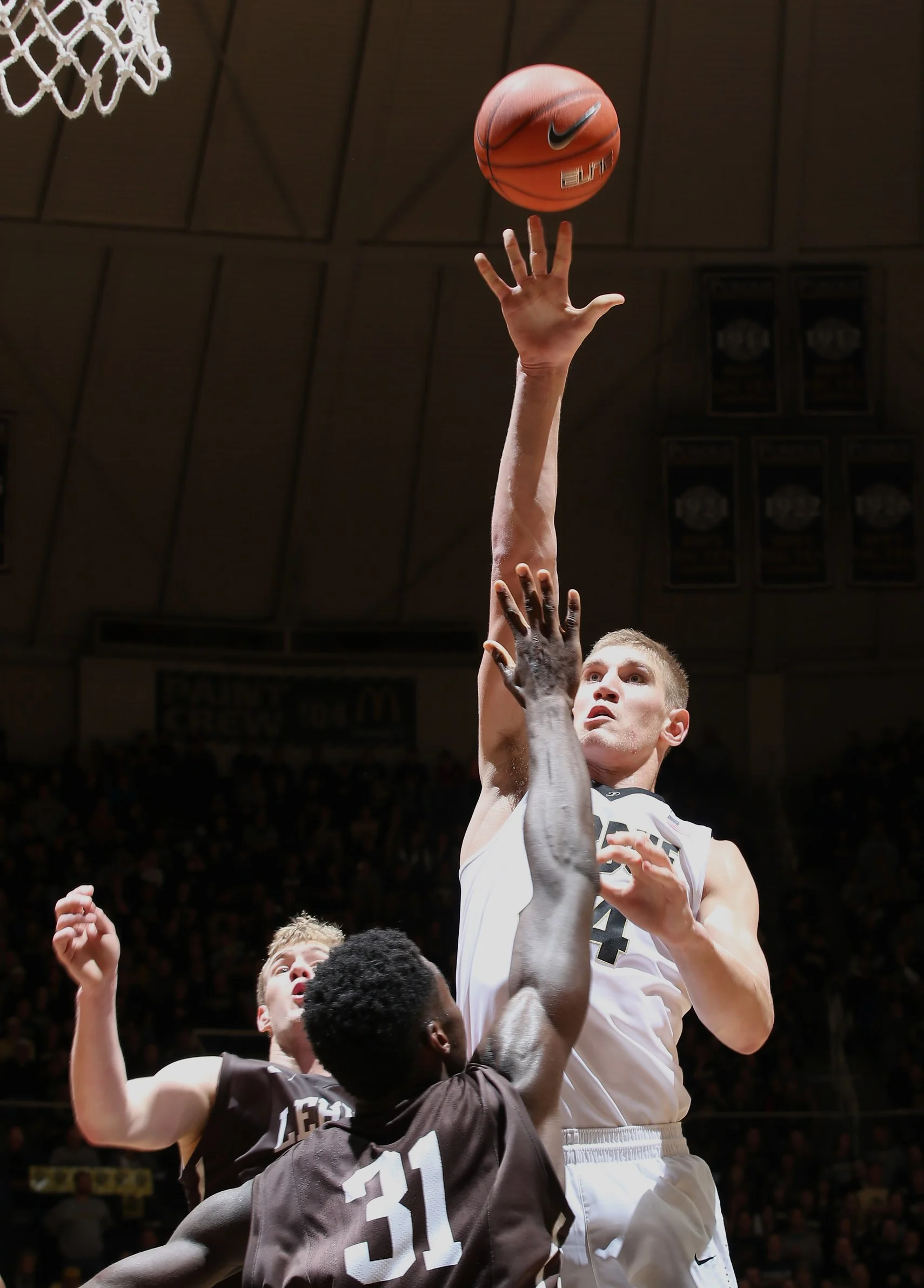 Zlionsfan and the Three Sports