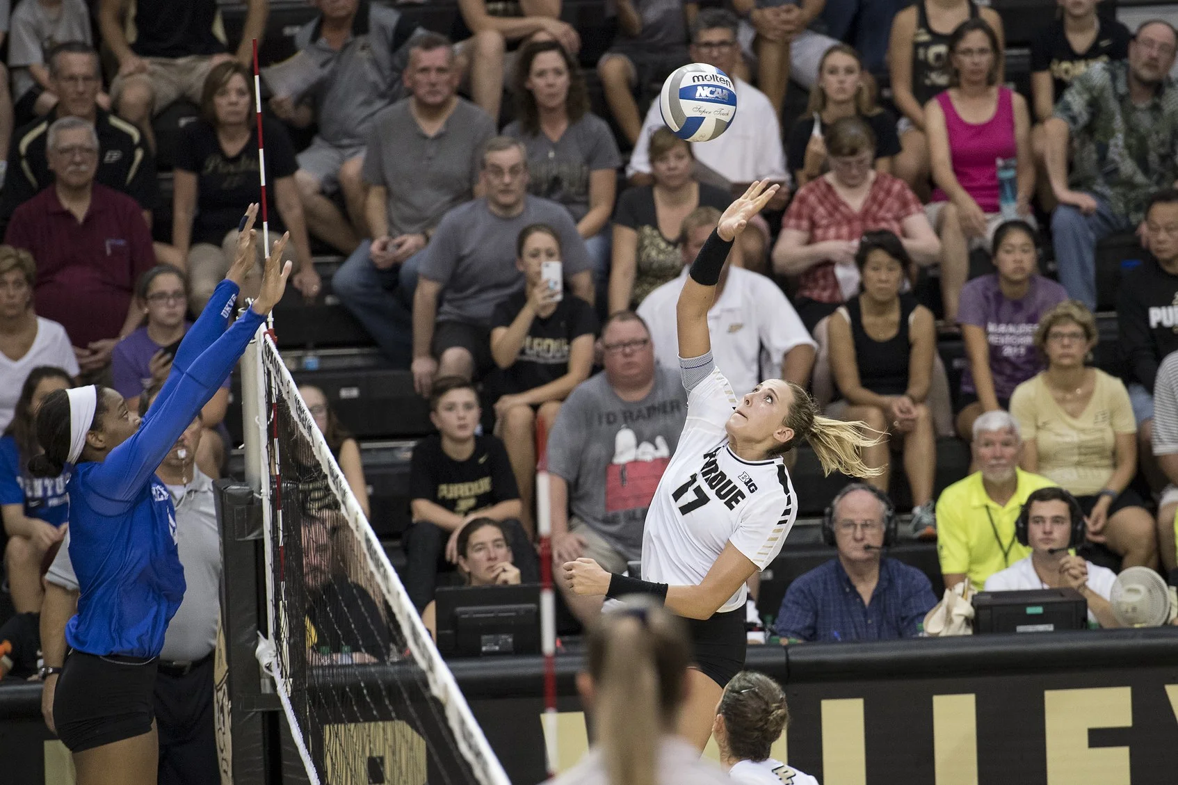 Middle blocker, outside hitter, whatever, just give me a good set and let me go to work.