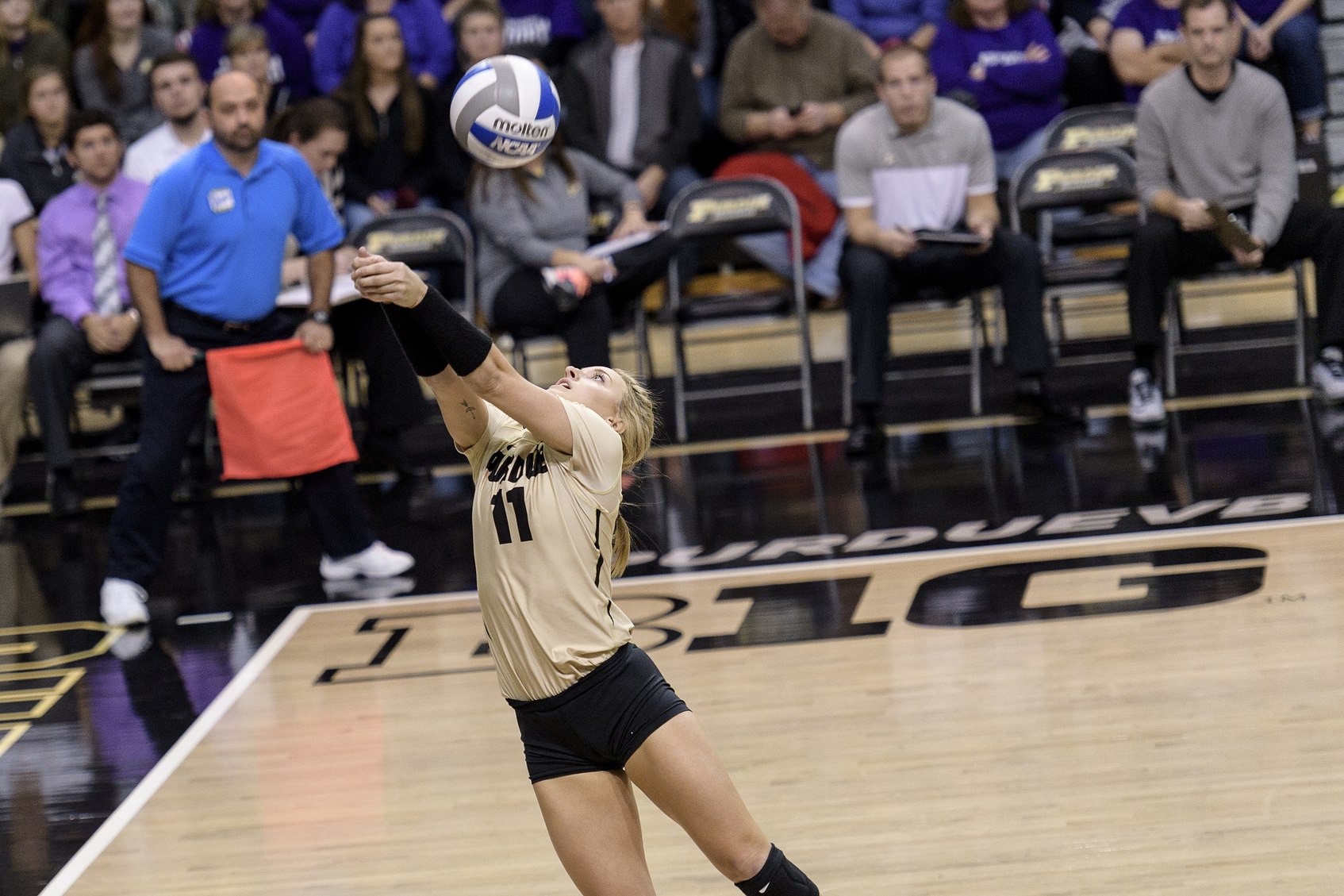 Damler got a number of key digs against Iowa; might have to see about capping some of those.