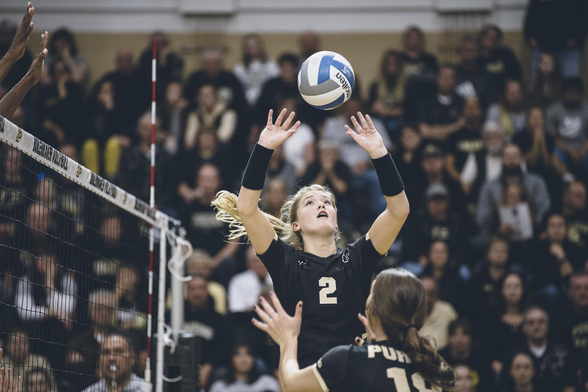 Bush and Johnson vs Indiana.jpg