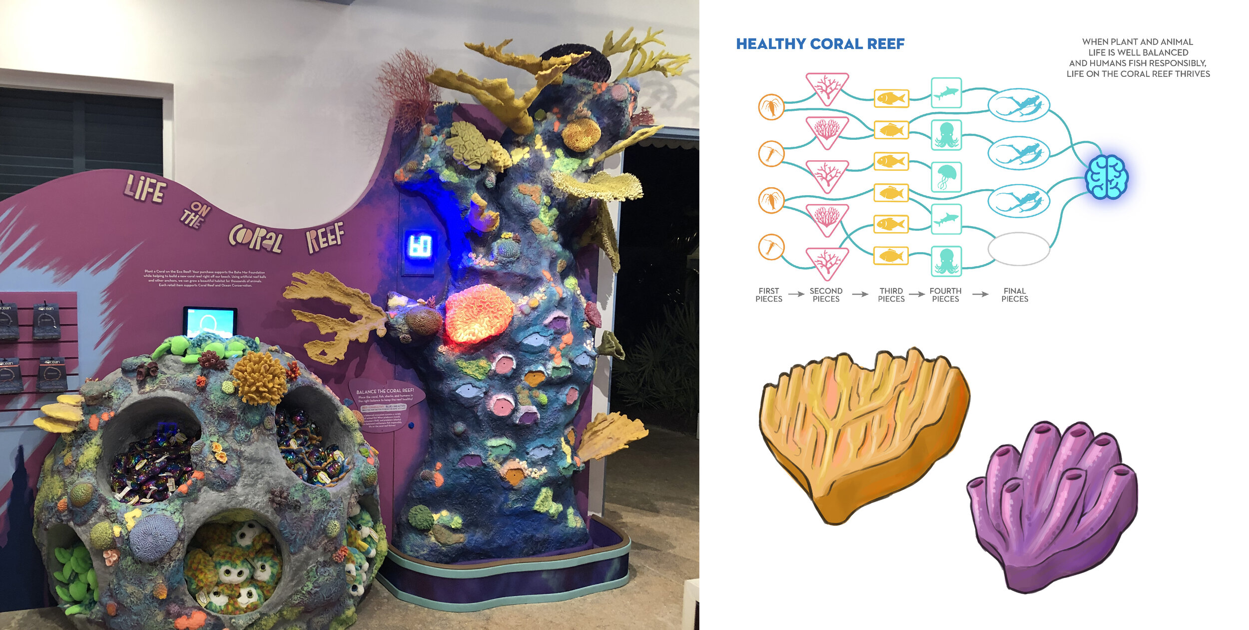  An iconic feature of the space is a game for young guests to learn about the coral reefs that blanket the ocean floor of the Bahamas. By placing pieces in the correct order and quantities, we learn how important a balanced ecosystem is for a coral r