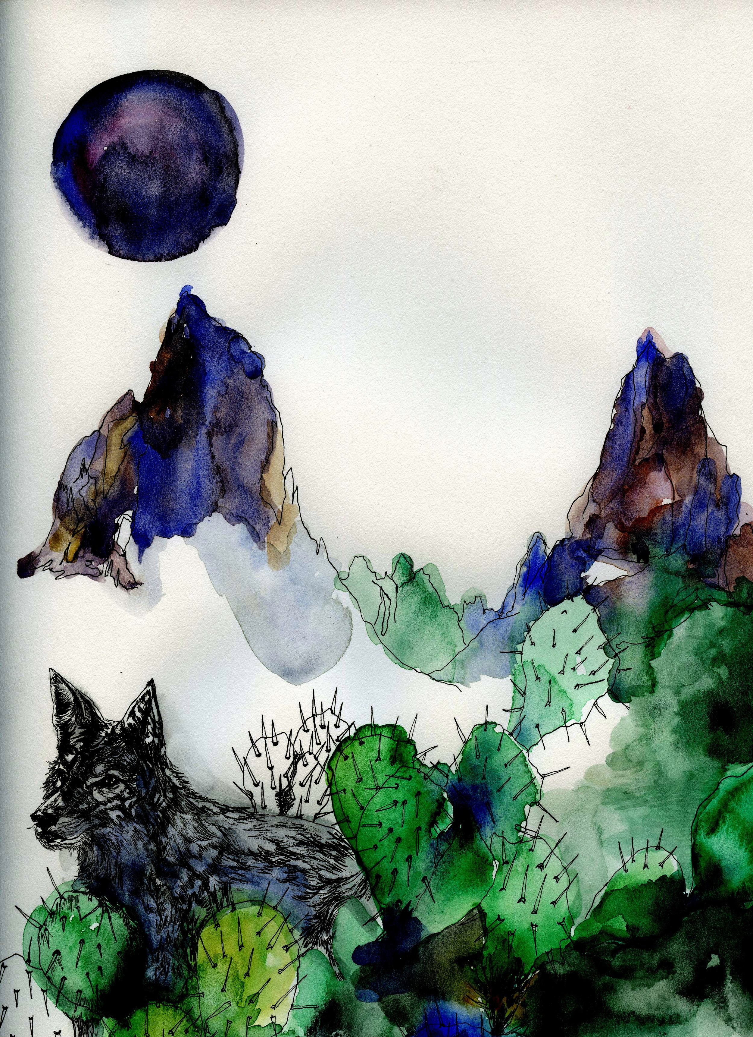 Coyote Moon