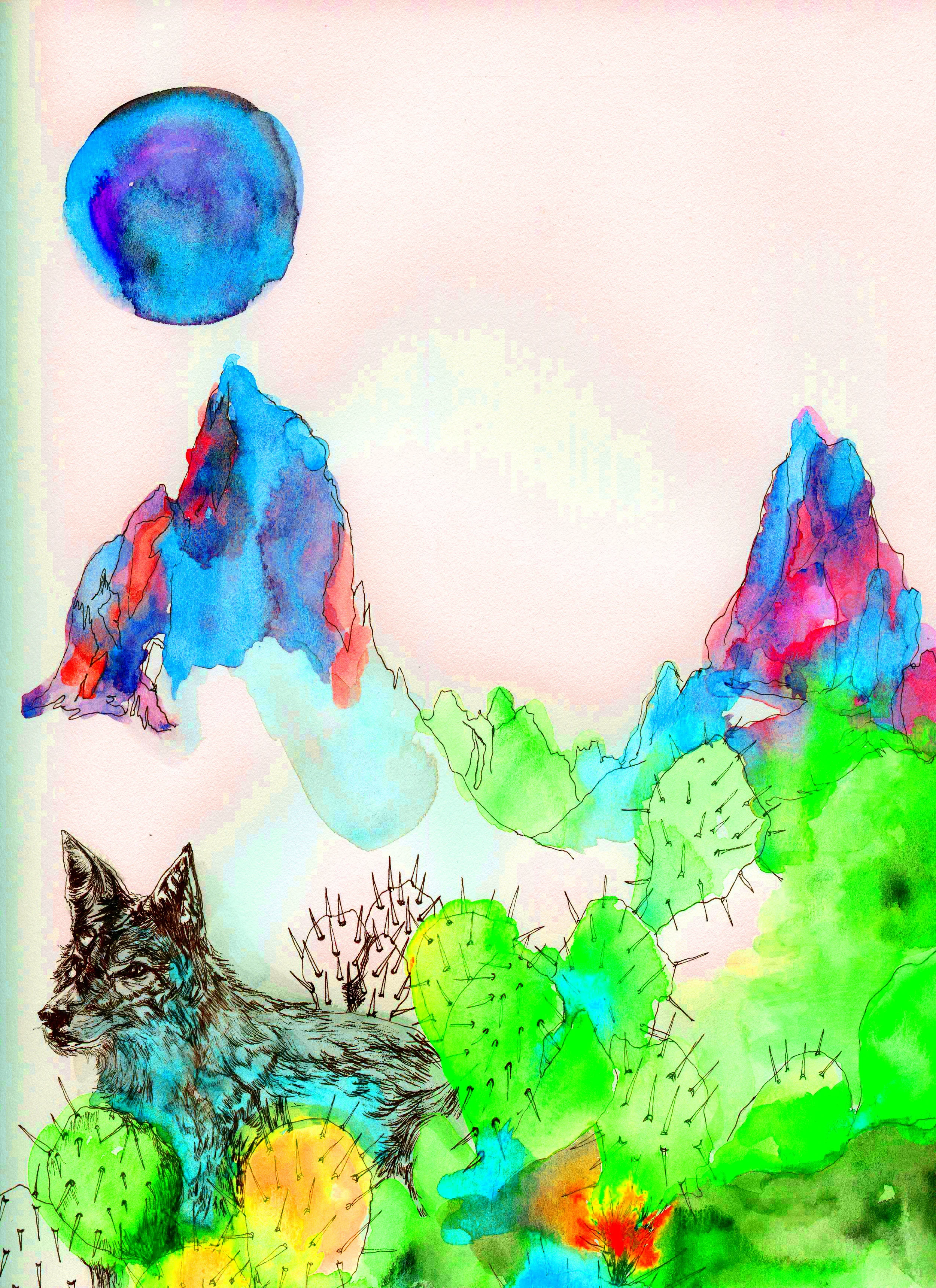 coyote moon, redux!