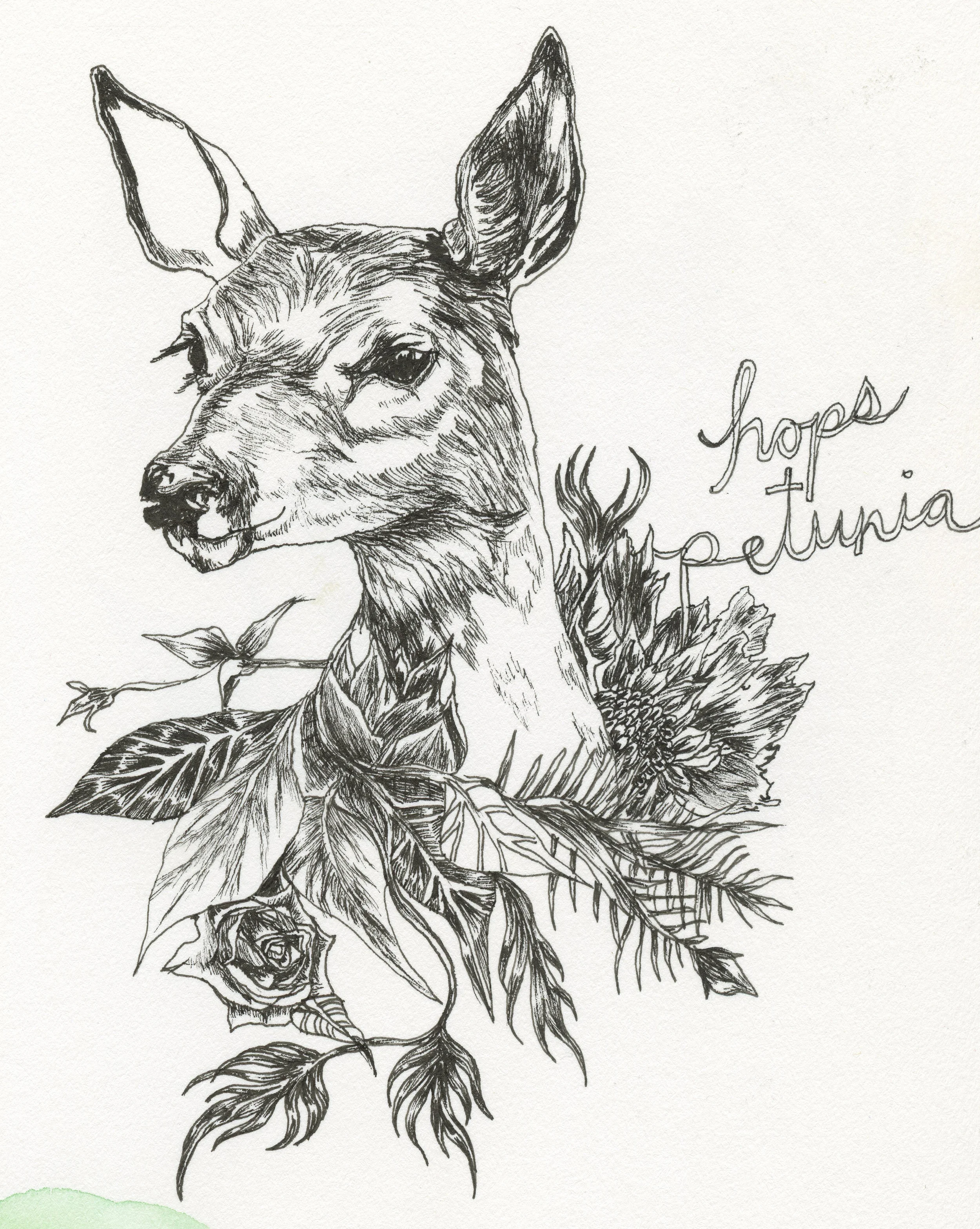 hopsdeer1.jpg