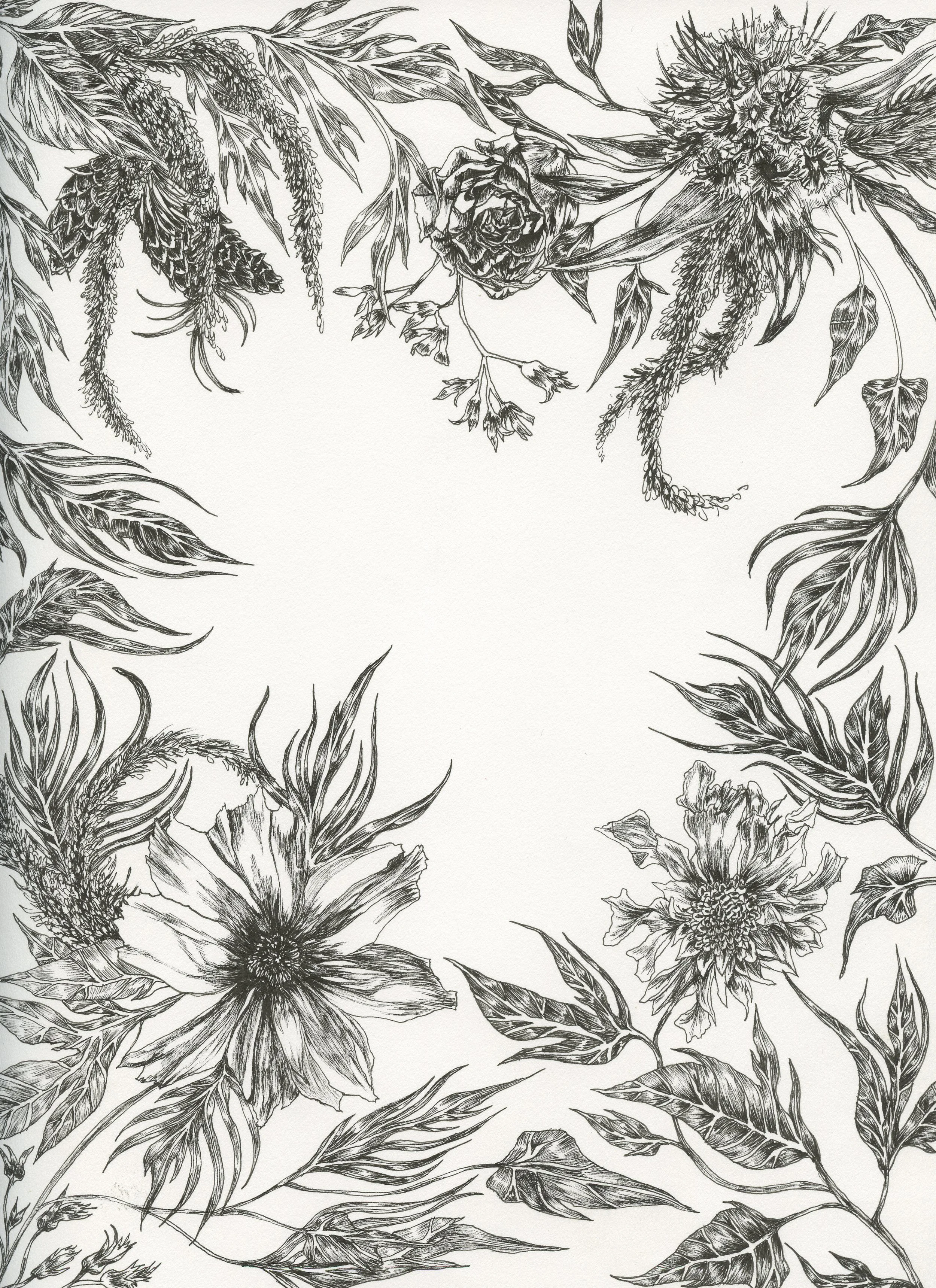 hopspetunia1 (2) (1).jpg