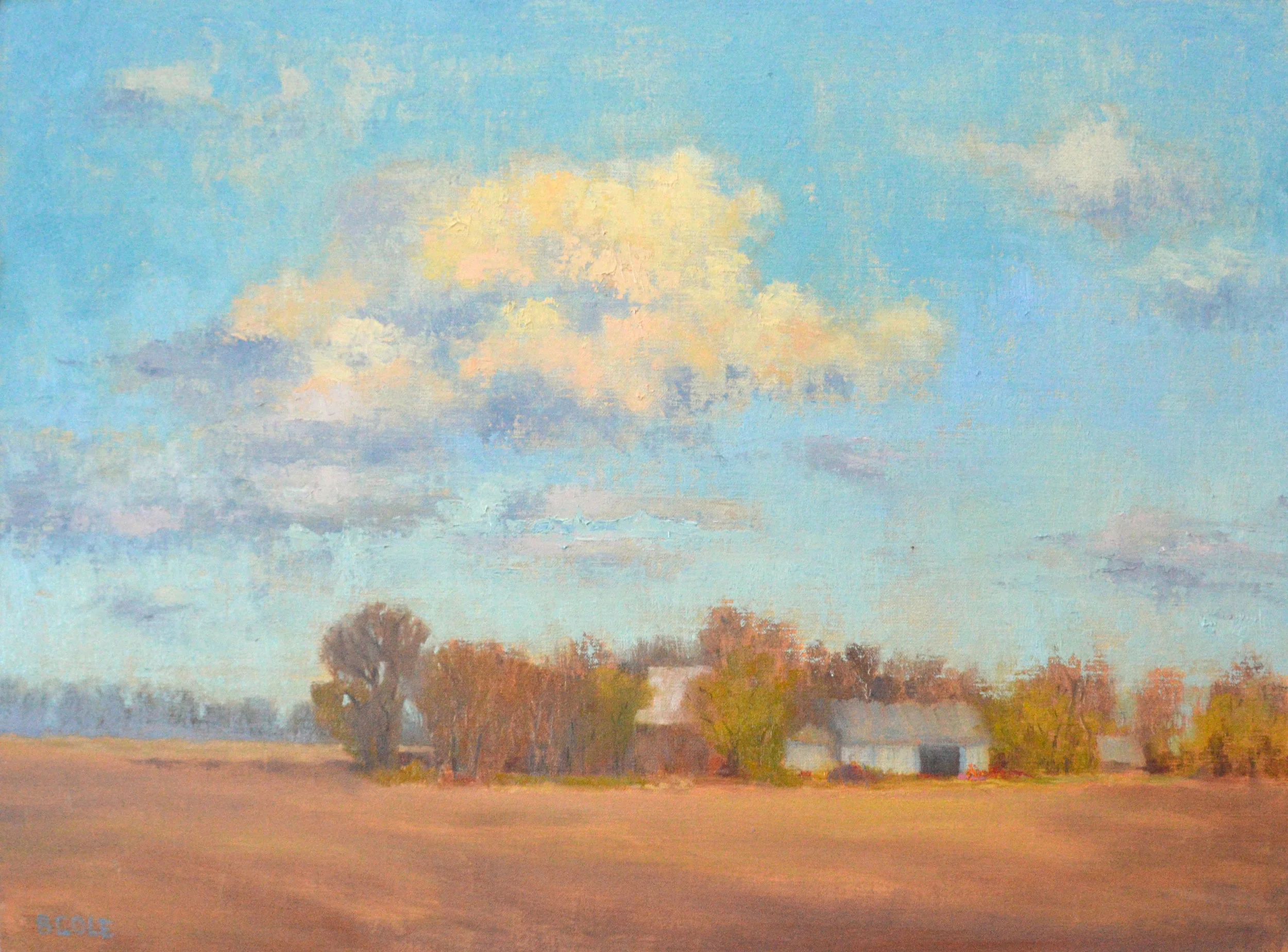 Beth Cole - Fallow , 2019 Merna, NE