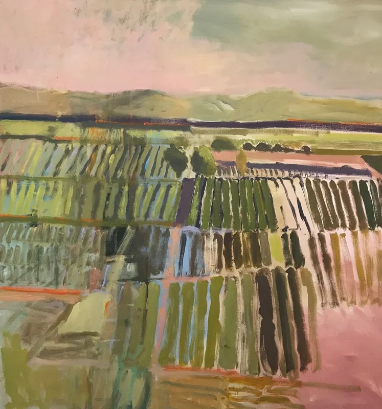 Stephen Dinsmore - Fields, 2017 Lincoln, NE