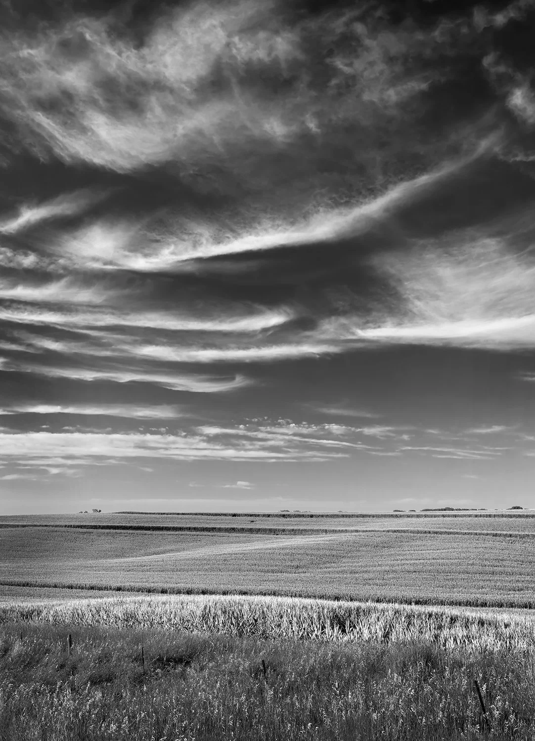 Larry Covalciuc - Iowa Corn and Clouds , 2018 Council Bluffs, IA