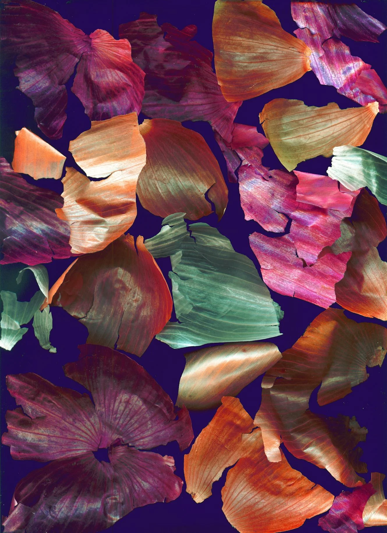 Paul Evans - Colorful Onion Skins , 2012 Omaha, NE