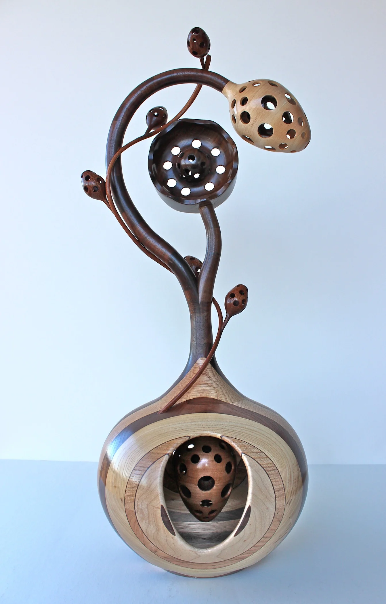 Dennis Wattier - Tangled Up in Pods, 2014 Omaha, NE