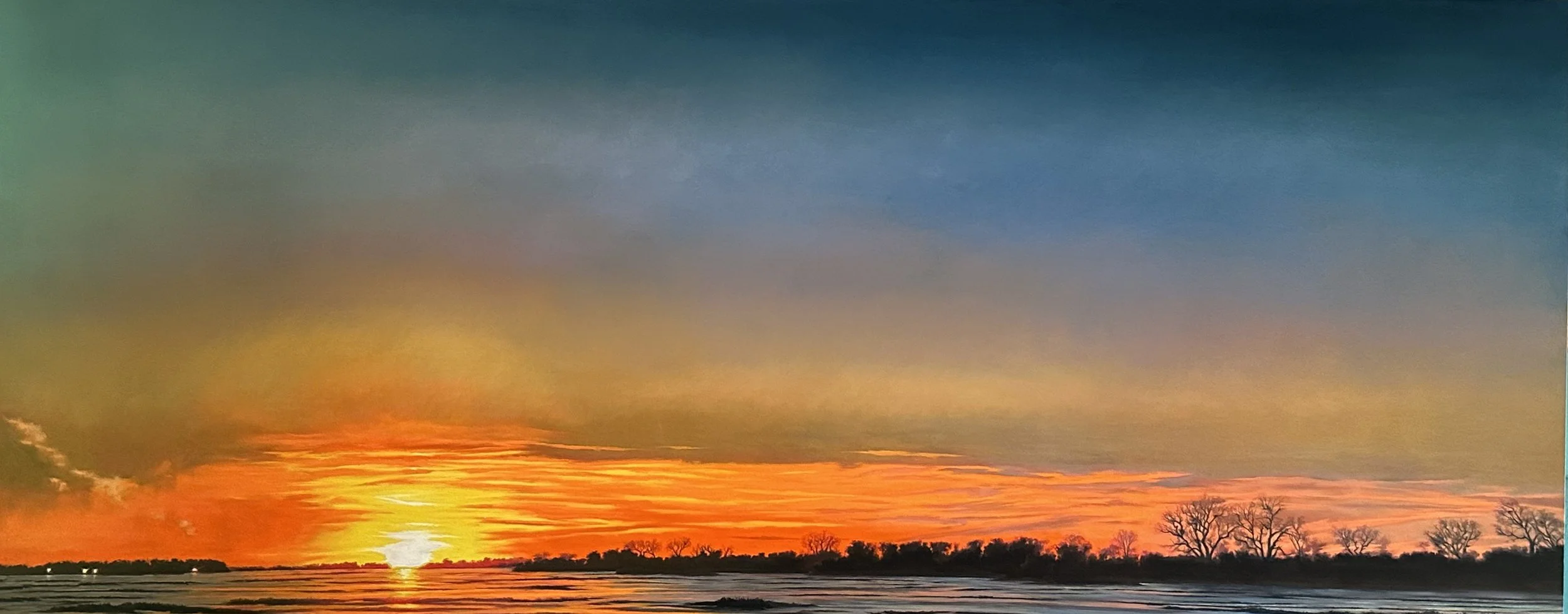 Homan Migrating Skies.jpeg