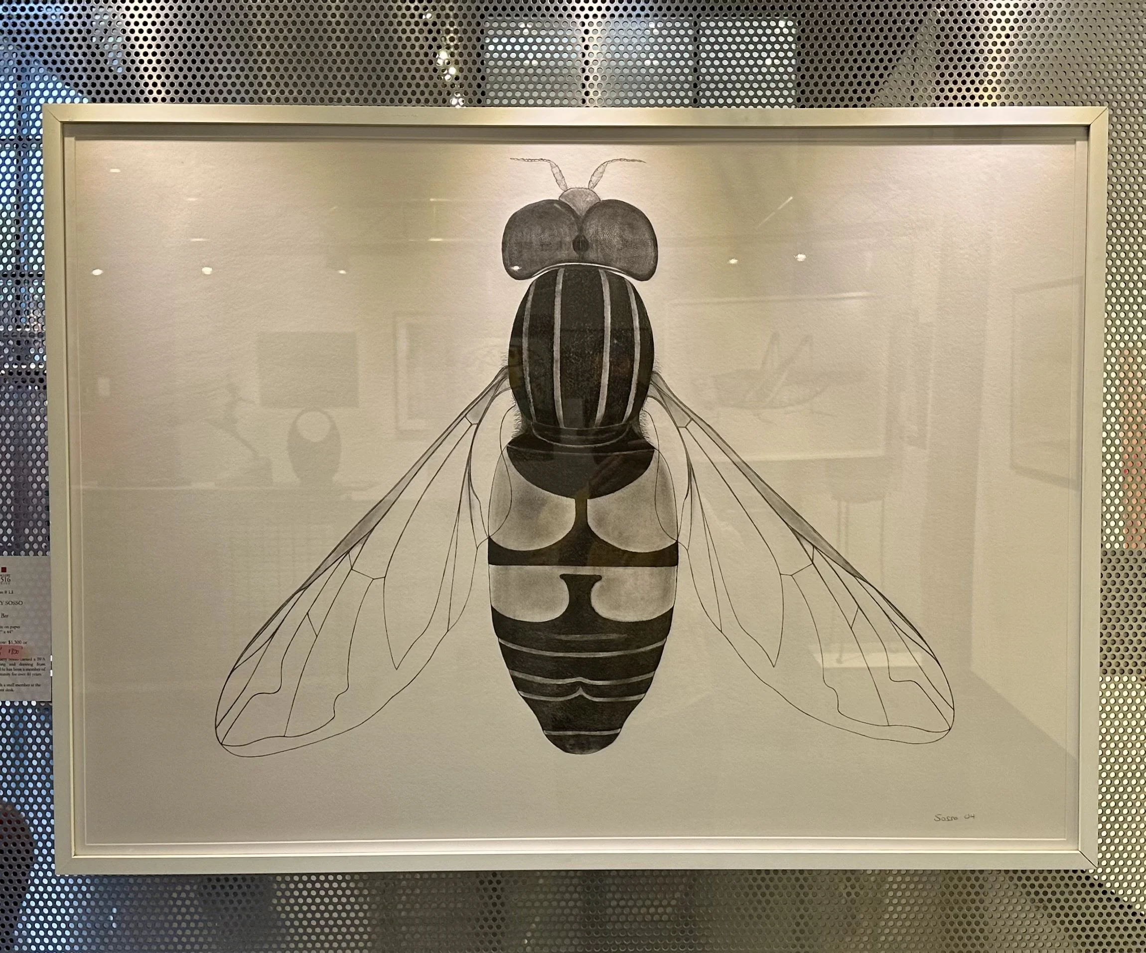 Larry Sosso, "Bee," 32" x 44", graphite on paper