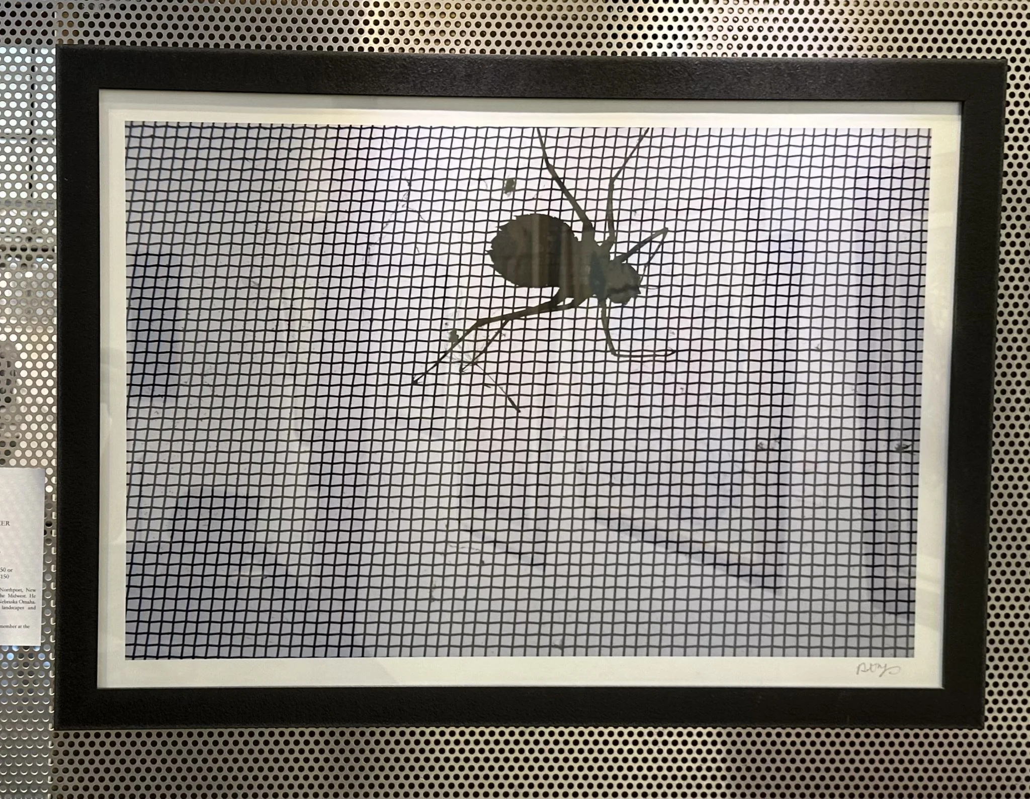 Rob Gilmer, "Spider," 24" x 34", photograph