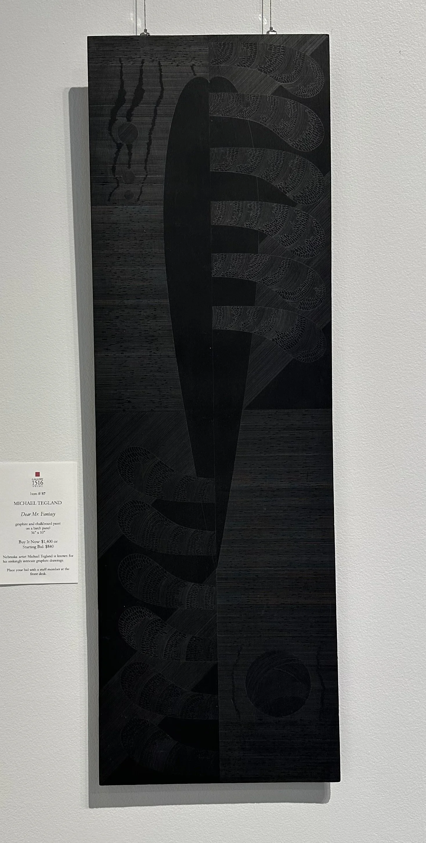 Michael Tegland, "Dear Mr. Fantasy," 36" x 10", graphite and chalkboard paint on a birch panel