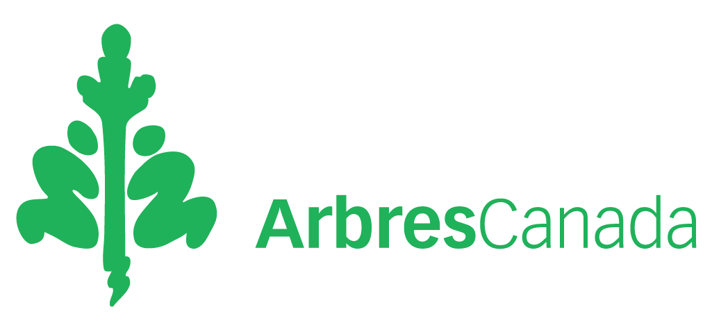 TCLogos_Green-Fr-1025x475-green.png