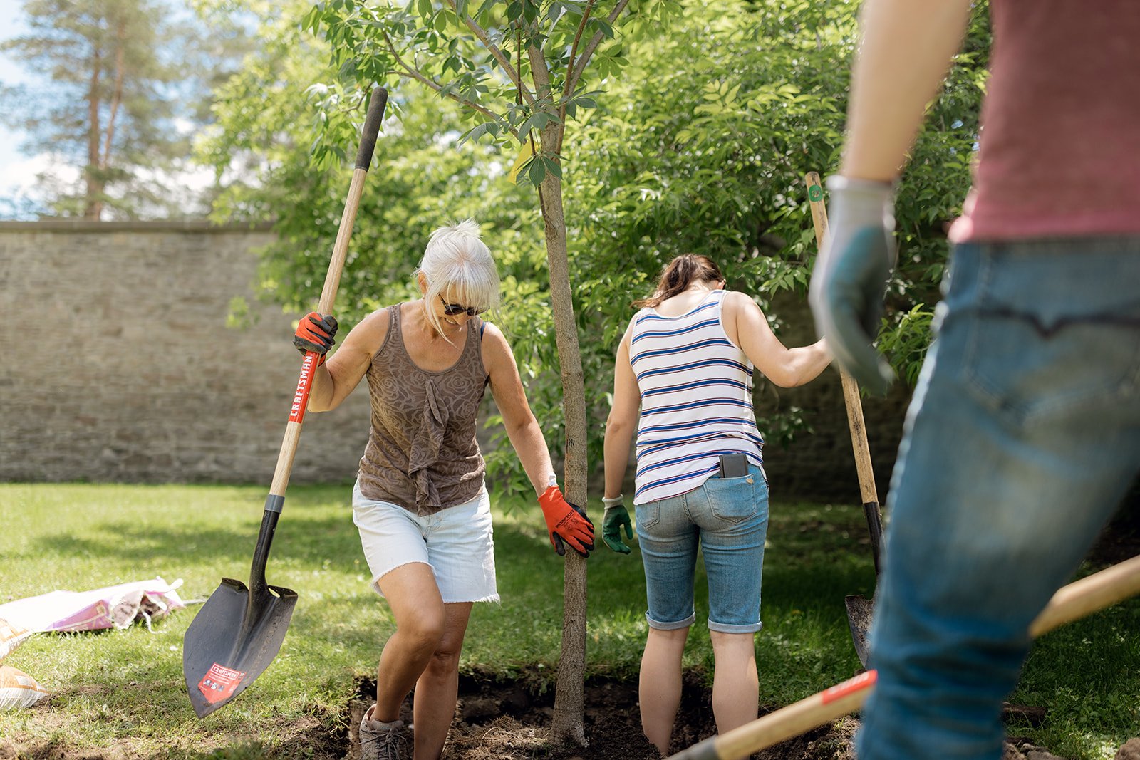 7_Creddo - June 17 - Tree planting-98.jpg