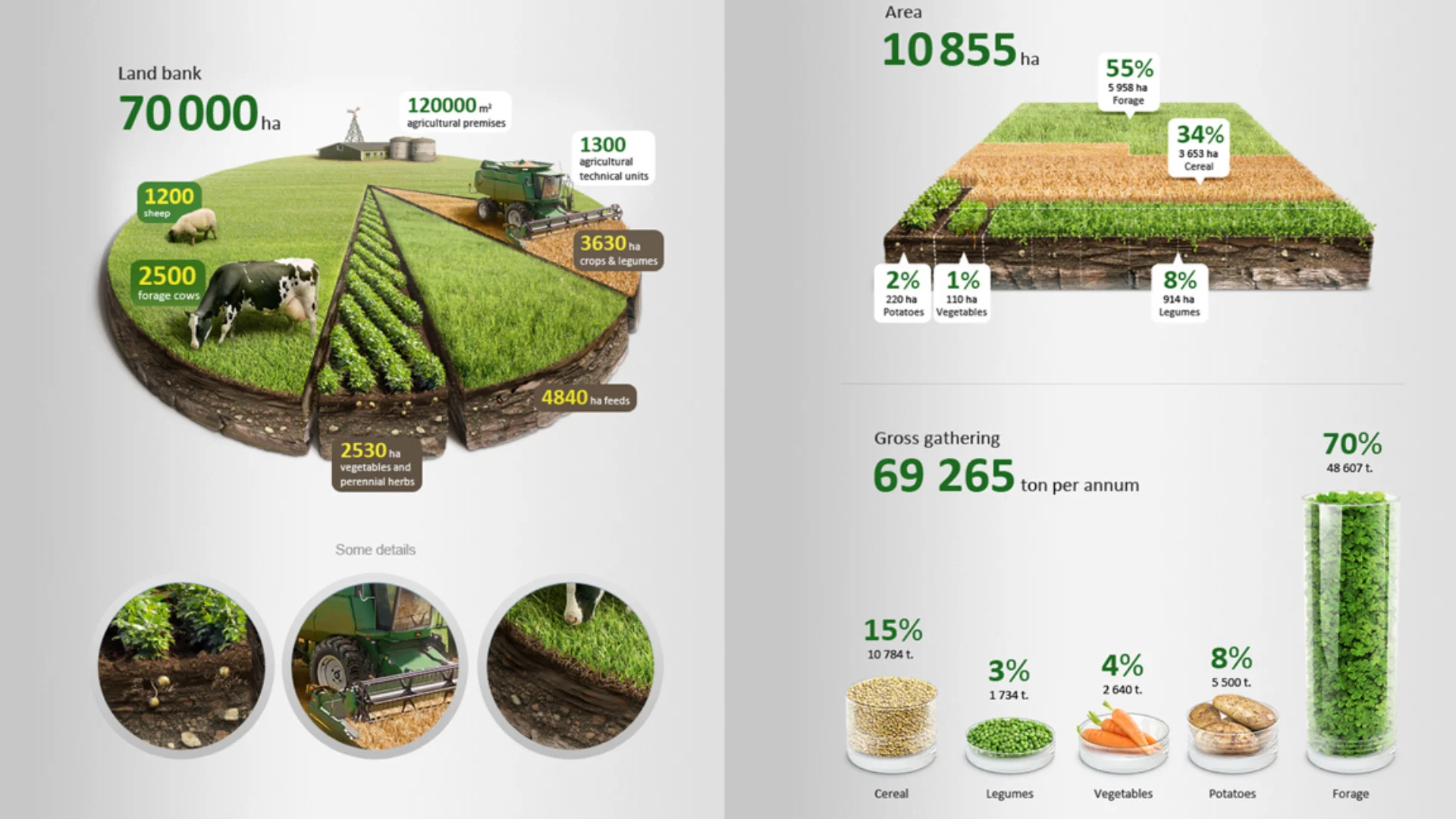 Infographic ที่ใช้เทคนิค 3D Render แบบเสมือนจริง