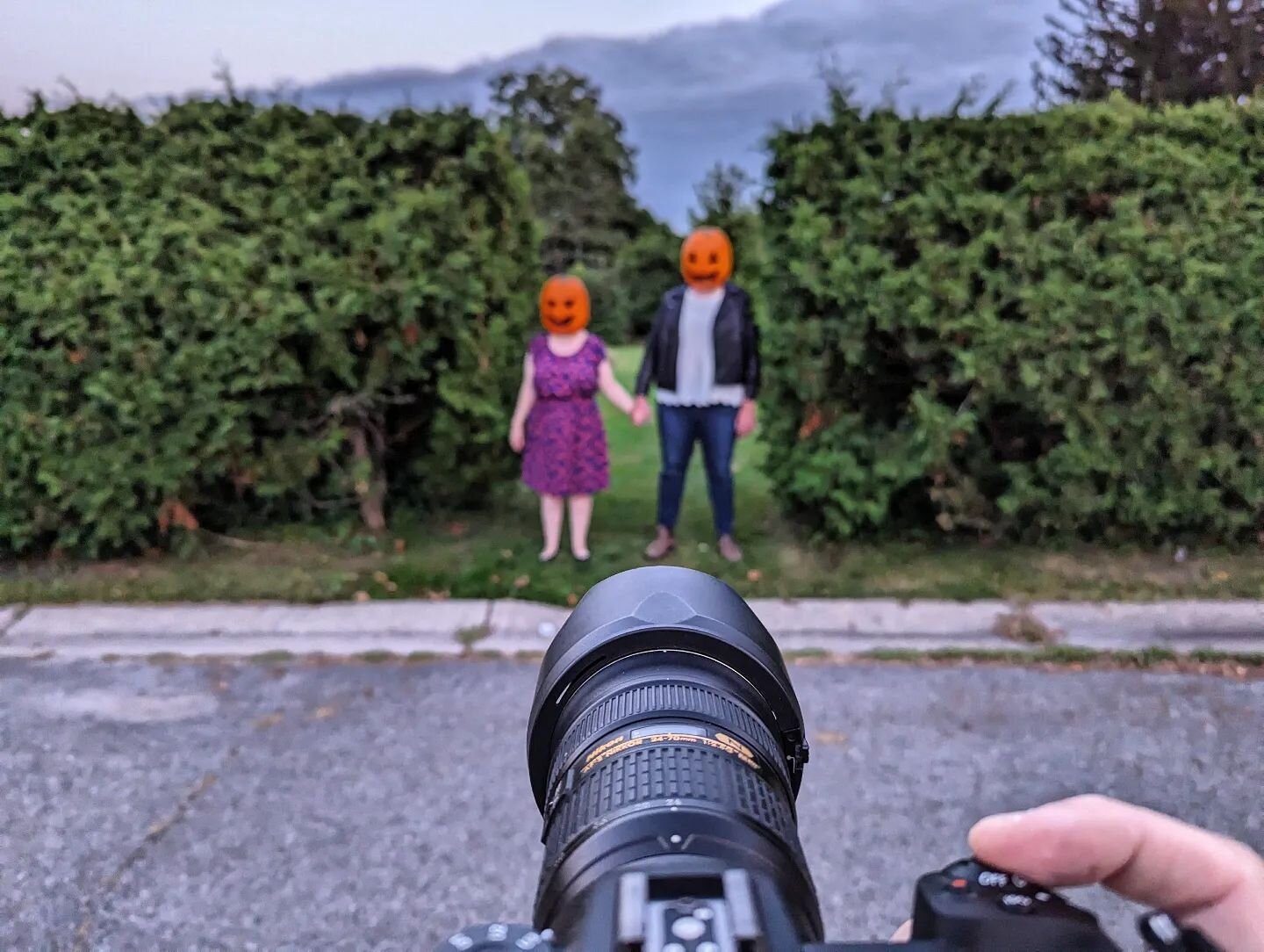 Happy Halloween 🎃
@black_pixel_photography 
.
.
.
.
.
.
#blackpixelphotography 
#halloween 
#ottawaweddings 
#ottawaweddingphotographer 
#ottawaweddingvendors 
#nikonz6ii 
#ottawa
#experimentalfarmottawa 
#ornamentalgarden